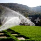 Irrigazione-3