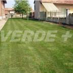 Prato-a-rotolo-4