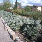 FOTO APRILE 2014 034